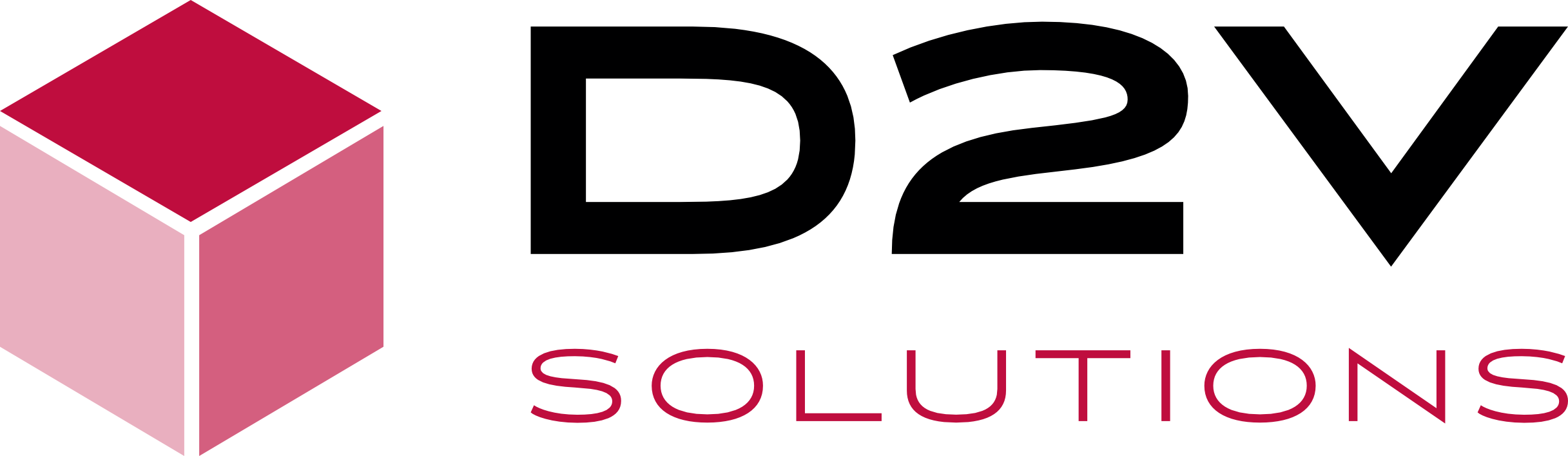 Project D2V Solutions logo